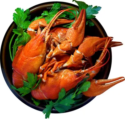 Вареные раки
